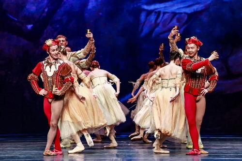 圖賞 優(yōu)雅的天鵝,演繹足尖上的精彩 sp 150 600mm g2